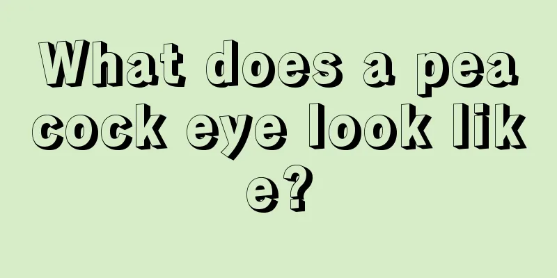 What does a peacock eye look like?