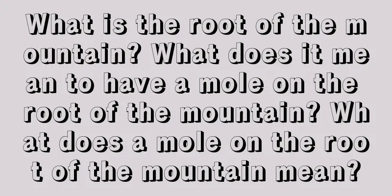 What is the root of the mountain? What does it mean to have a mole on the root of the mountain? What does a mole on the root of the mountain mean?