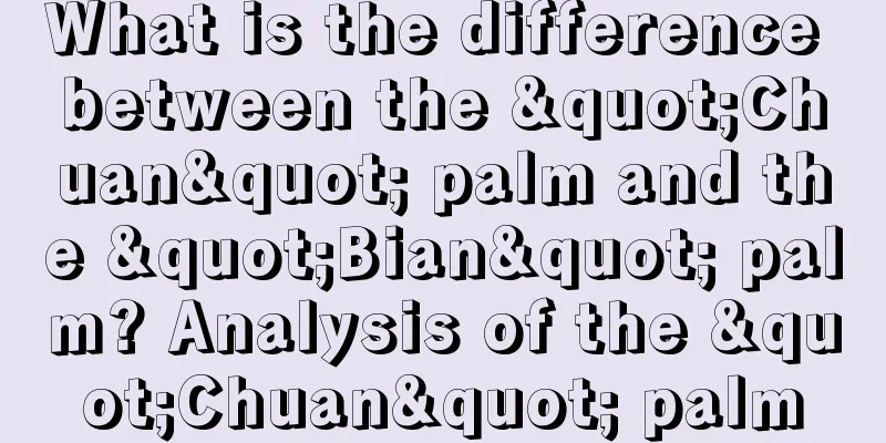 What is the difference between the "Chuan" palm and the "Bian" palm? Analysis of the "Chuan" palm