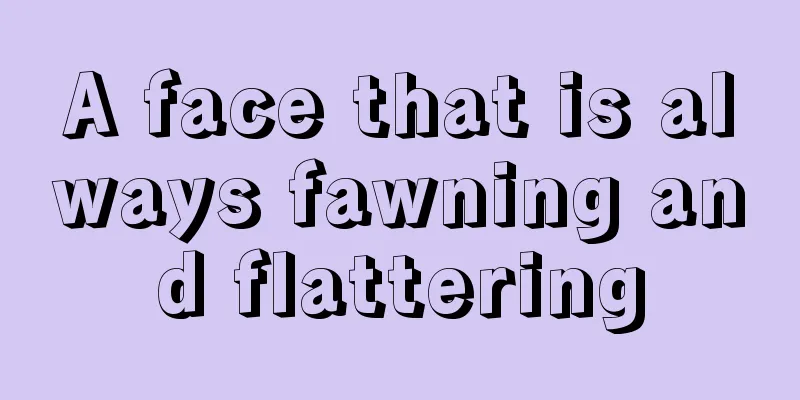 A face that is always fawning and flattering