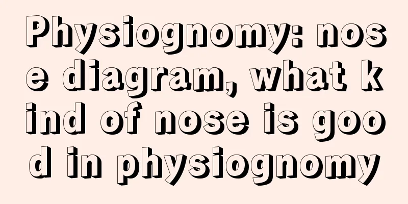 Physiognomy: nose diagram, what kind of nose is good in physiognomy