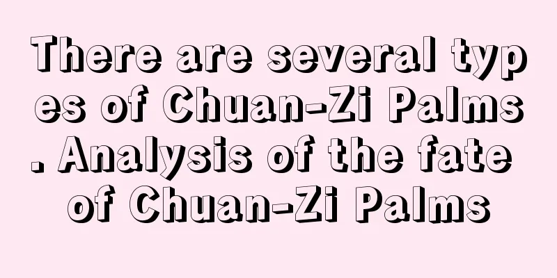 There are several types of Chuan-Zi Palms. Analysis of the fate of Chuan-Zi Palms