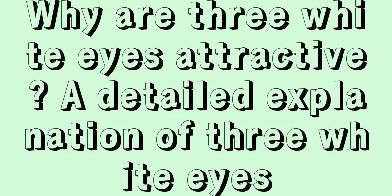 Why are three white eyes attractive? A detailed explanation of three white eyes