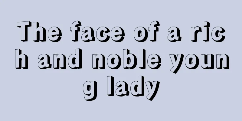 The face of a rich and noble young lady