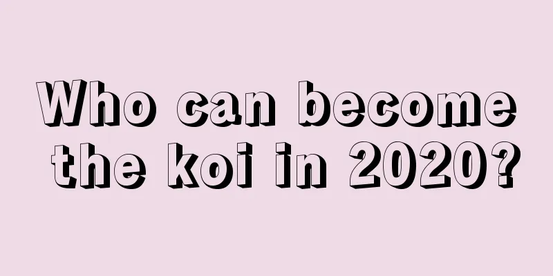 Who can become the koi in 2020?