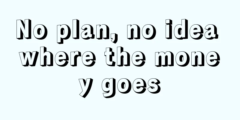 No plan, no idea where the money goes