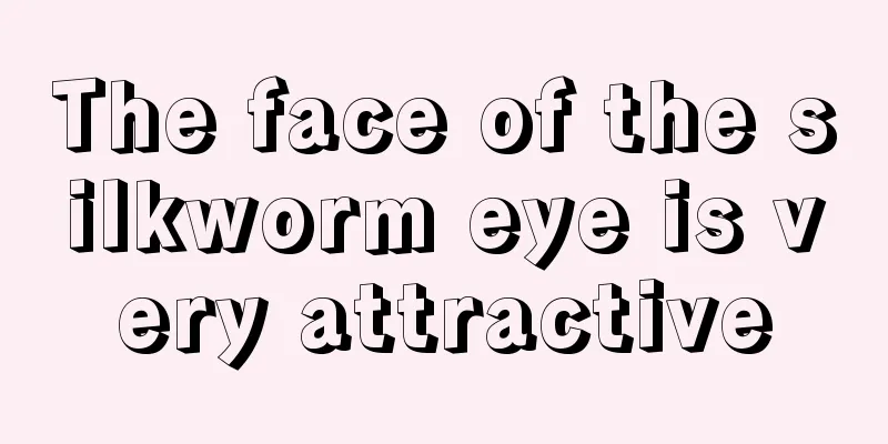 The face of the silkworm eye is very attractive