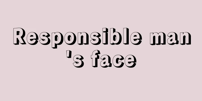 Responsible man's face