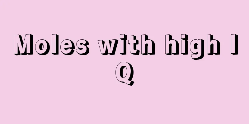 Moles with high IQ