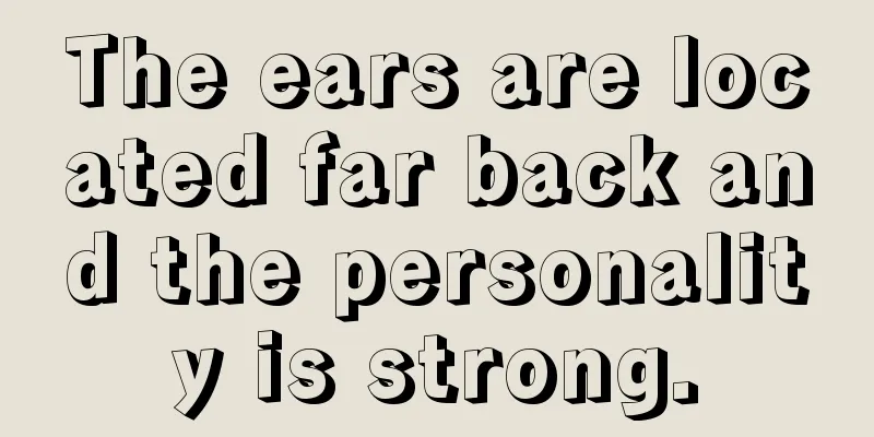 The ears are located far back and the personality is strong.