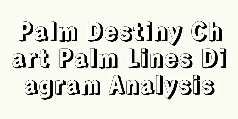 Palm Destiny Chart Palm Lines Diagram Analysis