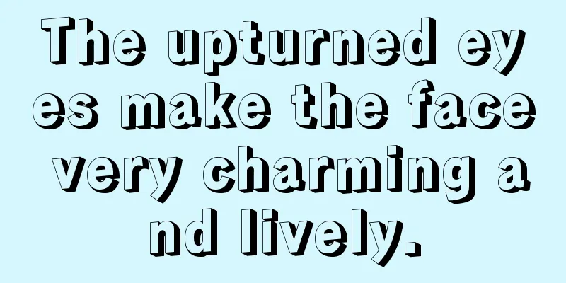 The upturned eyes make the face very charming and lively.