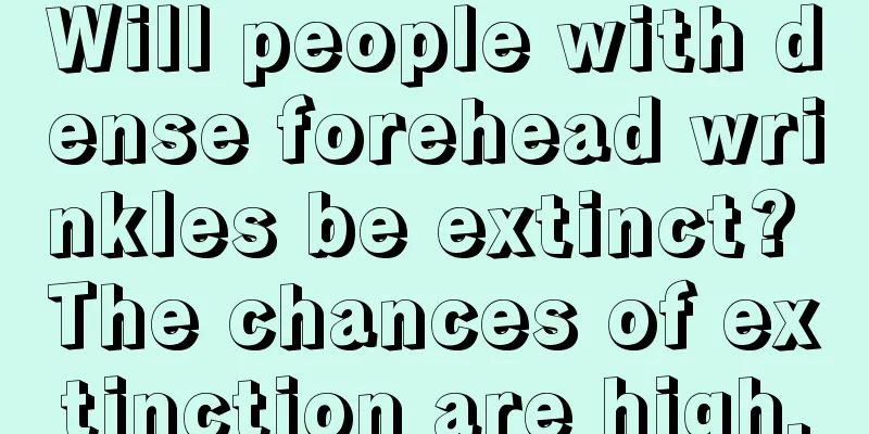 Will people with dense forehead wrinkles be extinct? The chances of extinction are high.