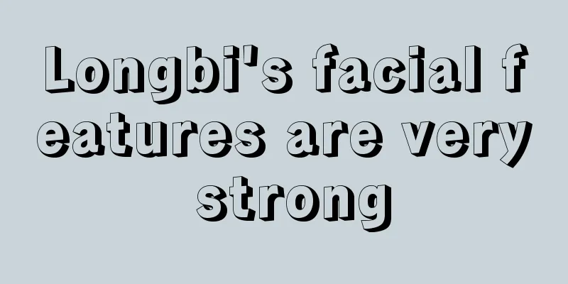 Longbi's facial features are very strong