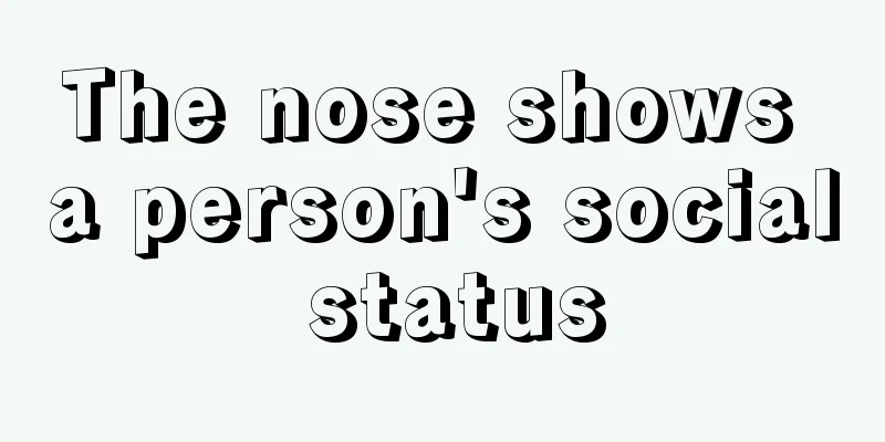 The nose shows a person's social status