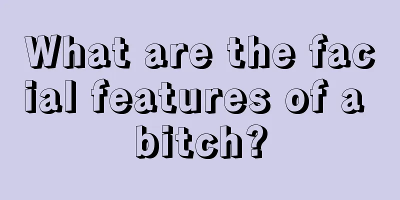 What are the facial features of a bitch?