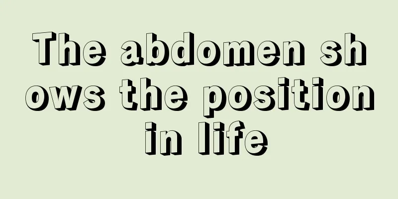 The abdomen shows the position in life