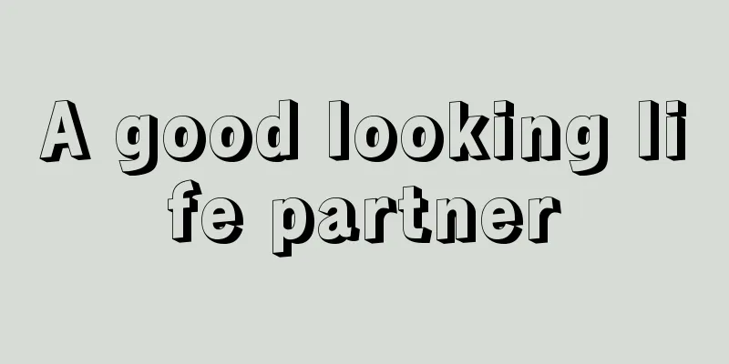 A good looking life partner