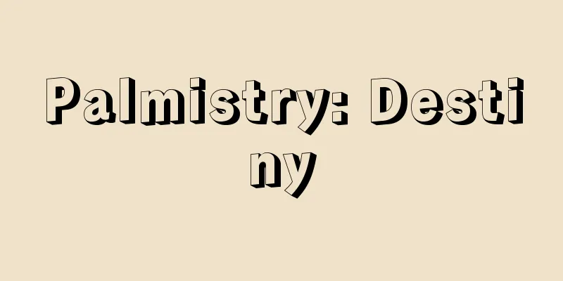 Palmistry: Destiny