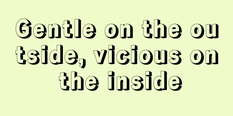 Gentle on the outside, vicious on the inside