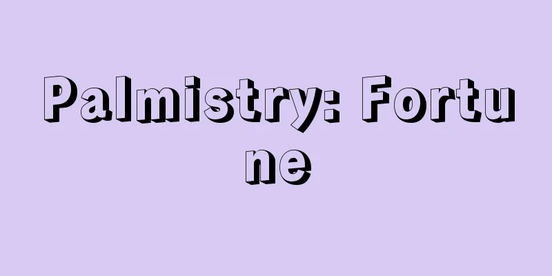 Palmistry: Fortune