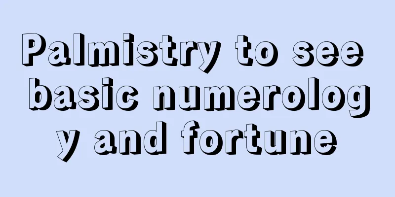 Palmistry to see basic numerology and fortune