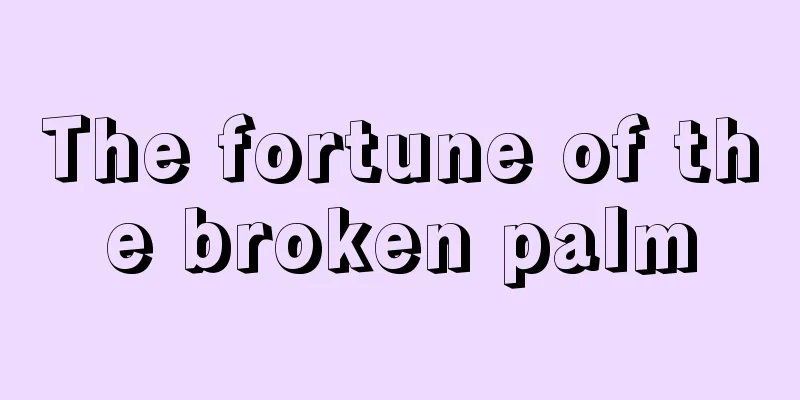 The fortune of the broken palm