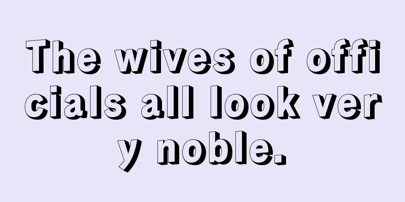 The wives of officials all look very noble.
