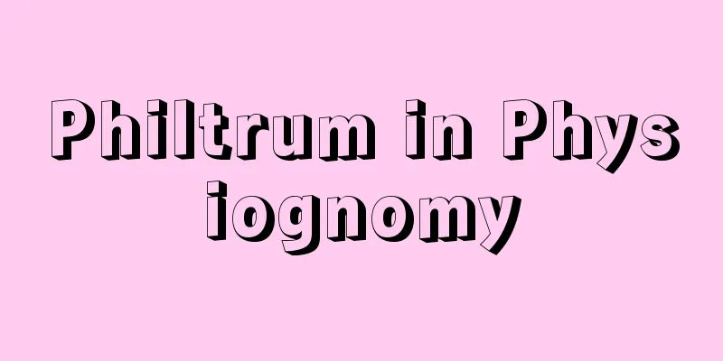 Philtrum in Physiognomy