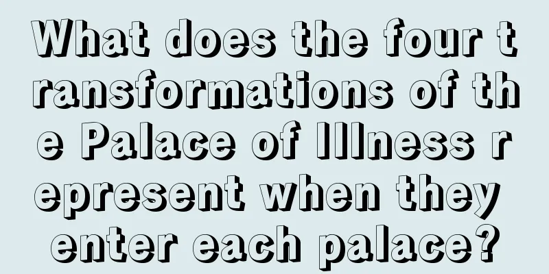 What does the four transformations of the Palace of Illness represent when they enter each palace?