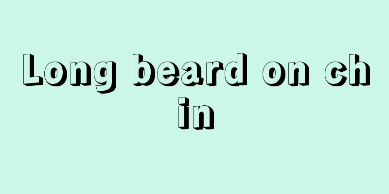 Long beard on chin