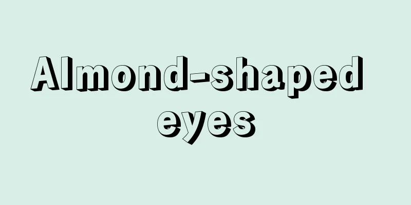 Almond-shaped eyes