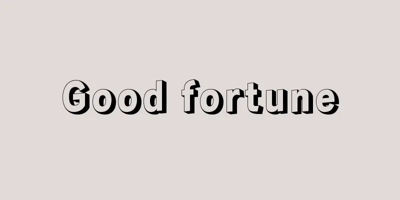 Good fortune