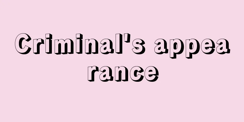 Criminal's appearance