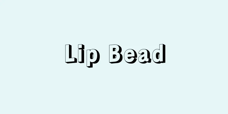 Lip Bead