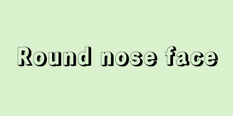 Round nose face