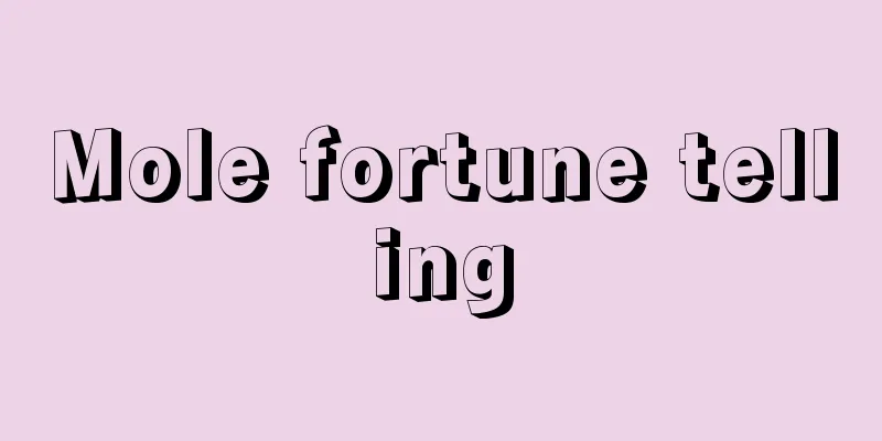 Mole fortune telling