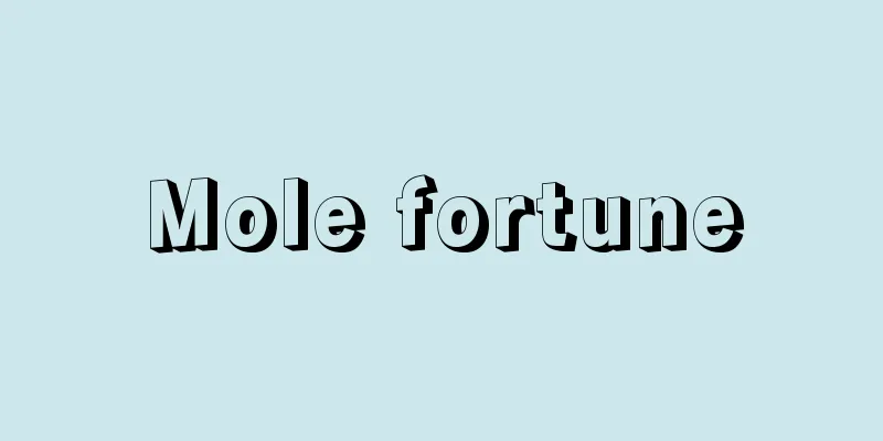 Mole fortune