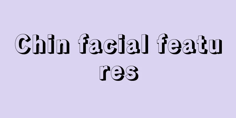 Chin facial features