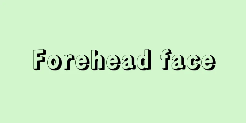 Forehead face