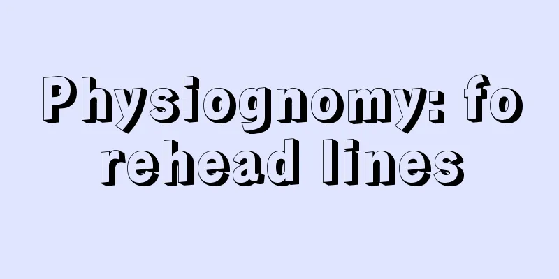 Physiognomy: forehead lines