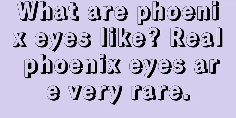 What are phoenix eyes like? Real phoenix eyes are very rare.