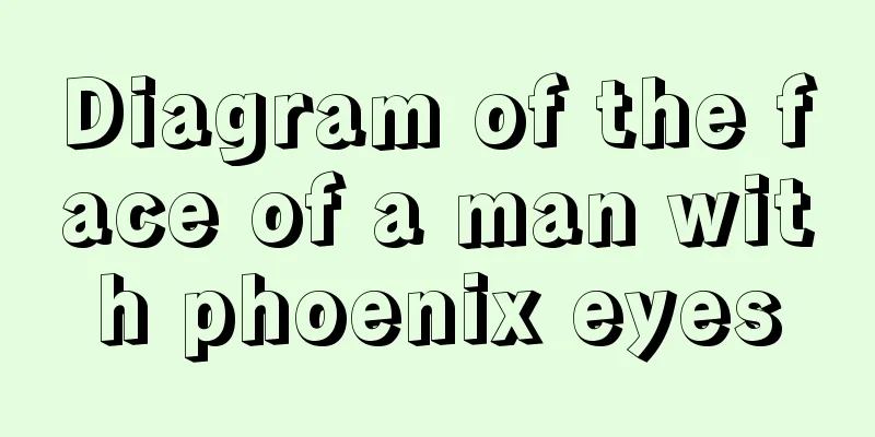 Diagram of the face of a man with phoenix eyes