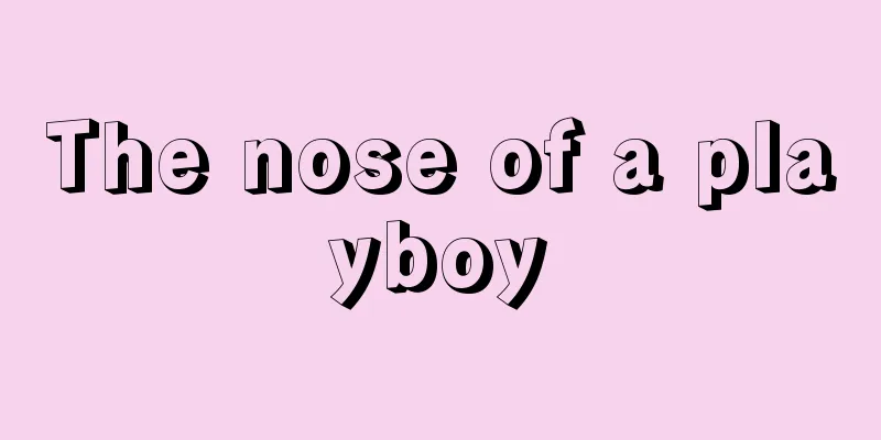 The nose of a playboy
