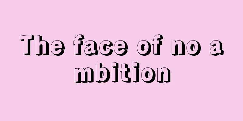 The face of no ambition