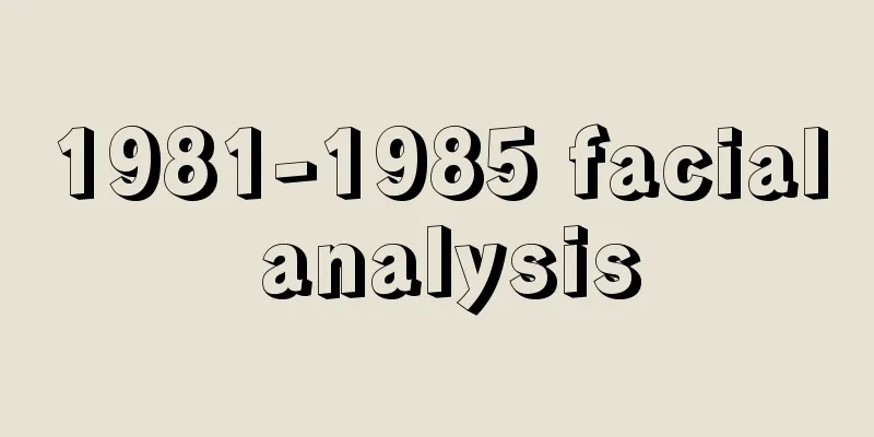 1981-1985 facial analysis
