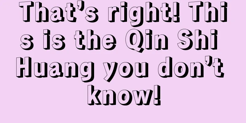 That’s right! This is the Qin Shi Huang you don’t know!