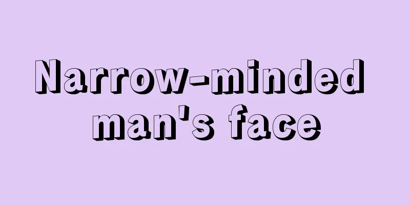 Narrow-minded man's face