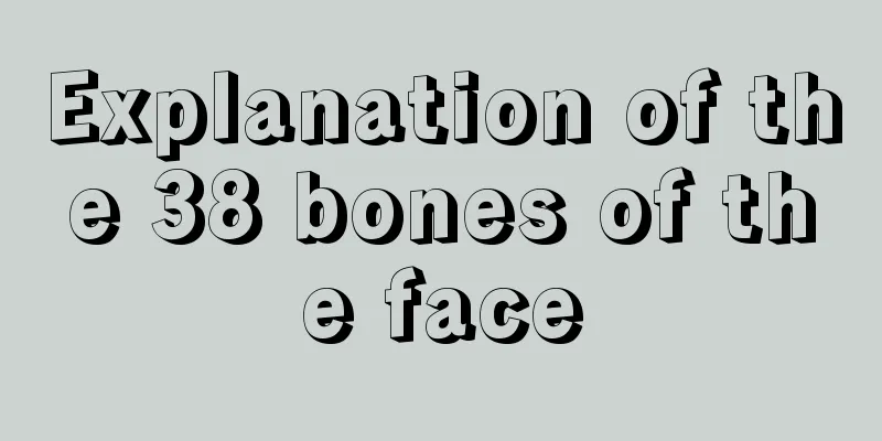 Explanation of the 38 bones of the face