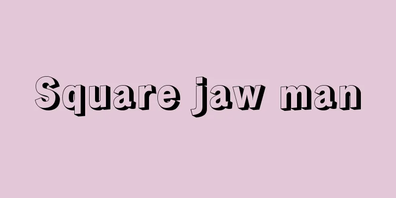 Square jaw man